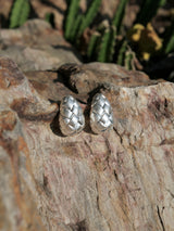 Wave Shell Earrings