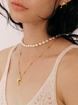 Golden Dolphin Necklace
