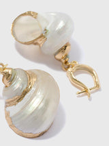Organic Shell Earrings