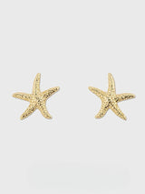 Starfish Earrings